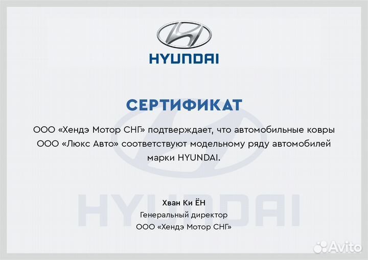 3D Коврики Hyundai Santa Fe из Экокожи