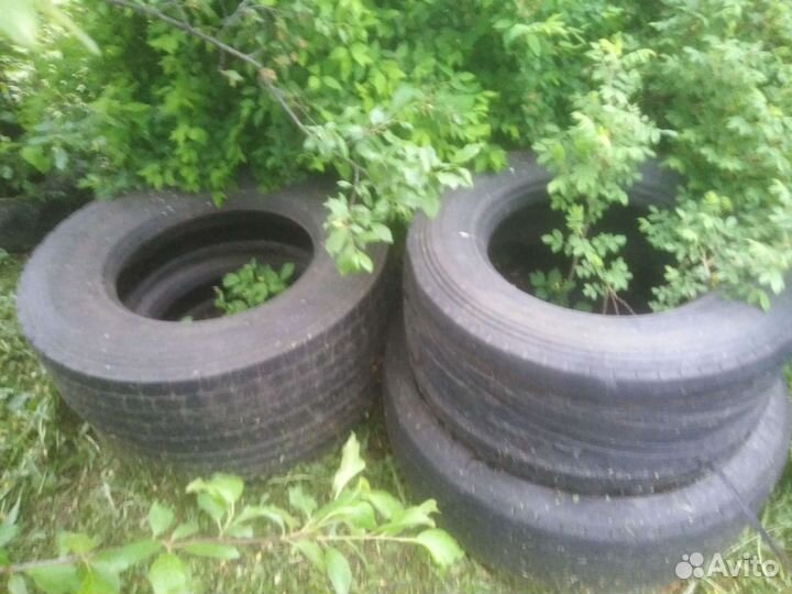 Жби кольца бу