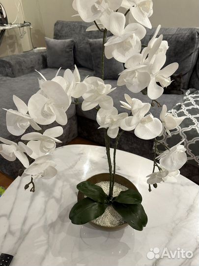 Орхидея в кашпо искусственная белая