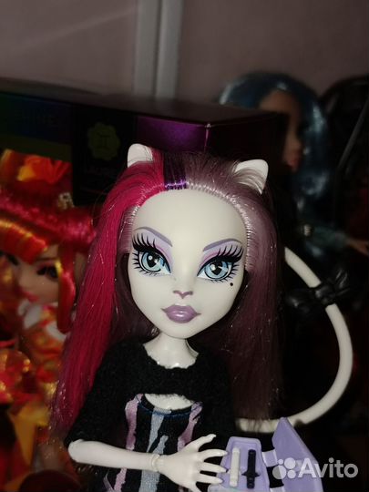 Кукла Монстер Хай Кэтрин де мяу новый скарместер