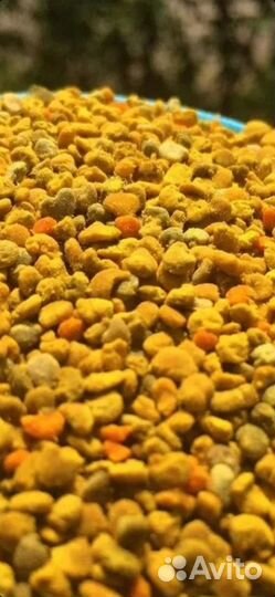 Пыльца пчелиная свежая Сбор 2023 г отправка по РФ