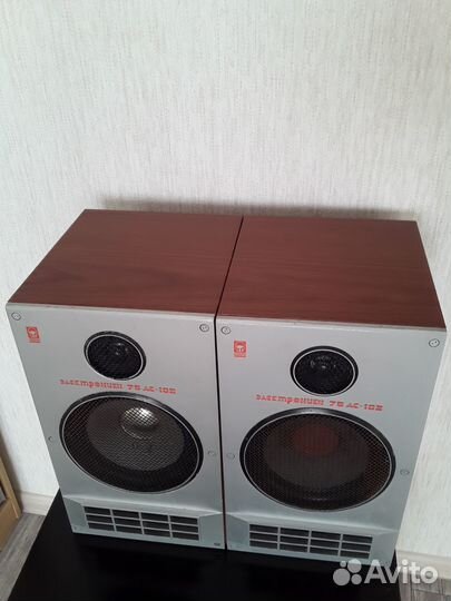 Акустические колонки Электроника 102