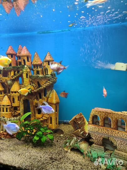 Аквариум с тумбой бу