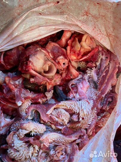 Мясо говядина для собак