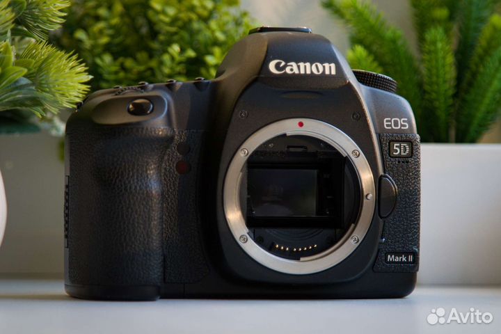 Canon 5D Mark II + Комплект