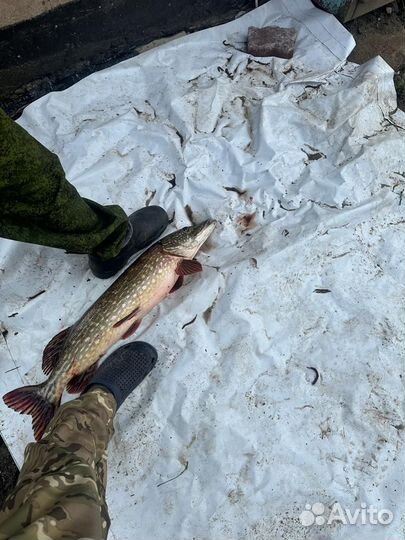 Рыбалка на р.Дейма