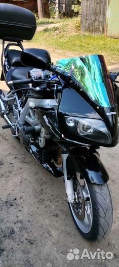Suzuki sv1000s