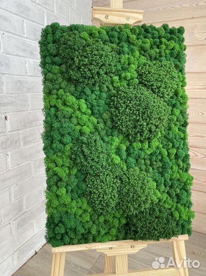 Панели из стабилизированного мха