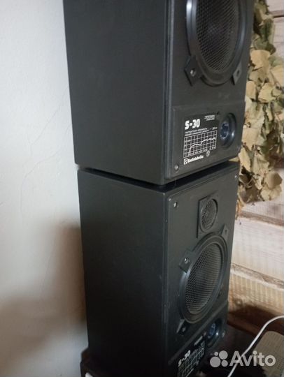 Акустические колонки радиотехника s 30
