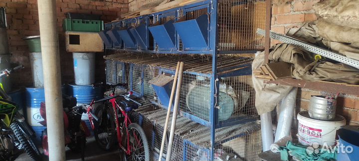 Клетка для кроликов