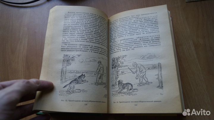 2528,2 Служебное собаководство. Петрозаводск Барс