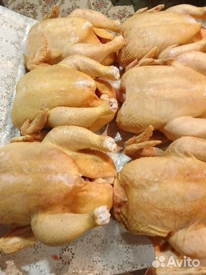 Мясо домашнего бройлера