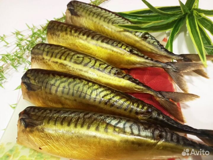 Скумбрия холодного копчения