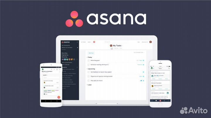 Asana на год