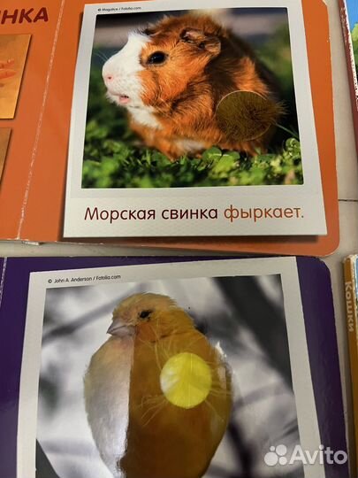 Детские книжки