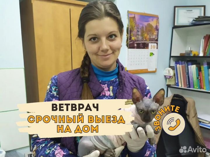 Ветеринарный врач на дом. Ветеринарная помощь