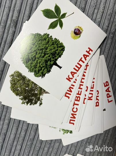 Обучающие карточки Домана 