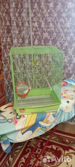 Клетка для попугая