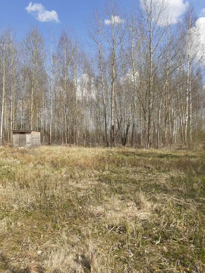 Участок 6 сот. (СНТ, ДНП)