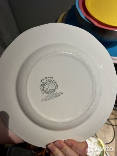 Обед тарелки для Поли Руссо