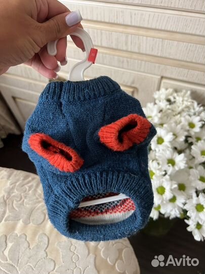 Одежда для сфинксов