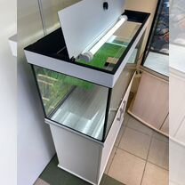 Аквариум для красноухой черепахи, Москва