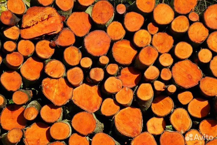 Панно из спилов дерева