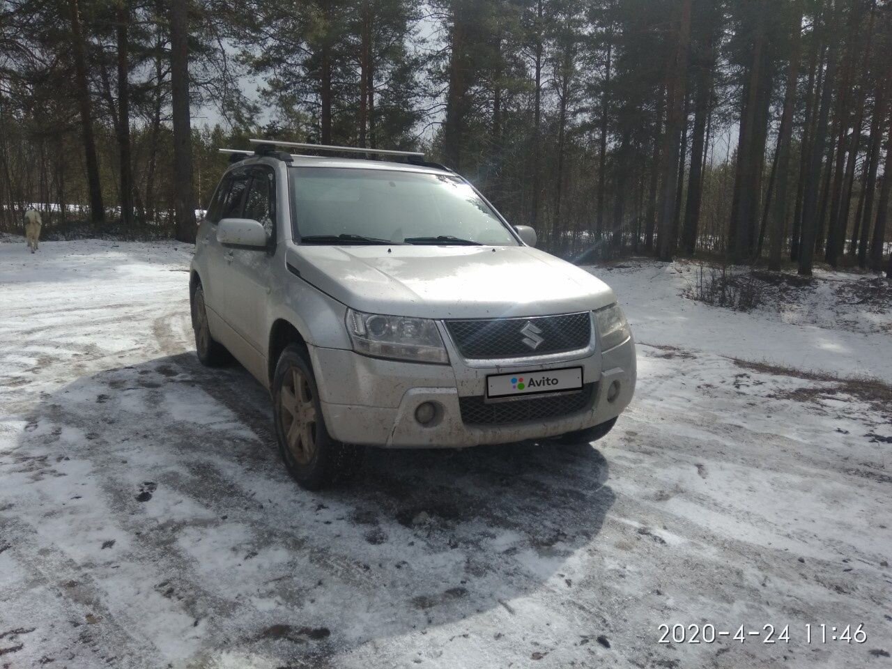 Suzuki Grand Vitara: фото владельца