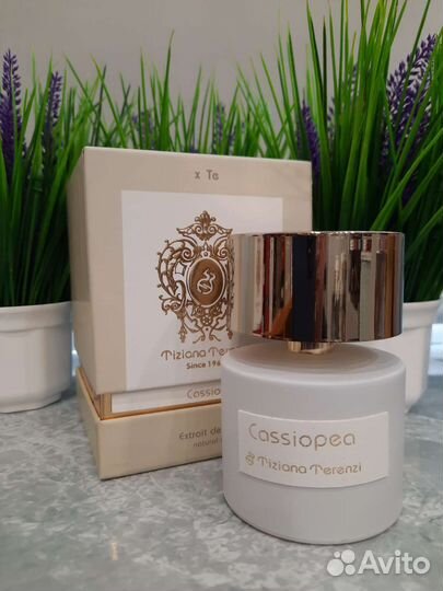 Tiziana Terenzi 100ml