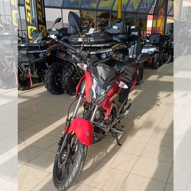 Stels RK 125, 2025