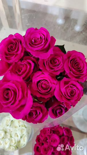 Цветы розы с доставкой
