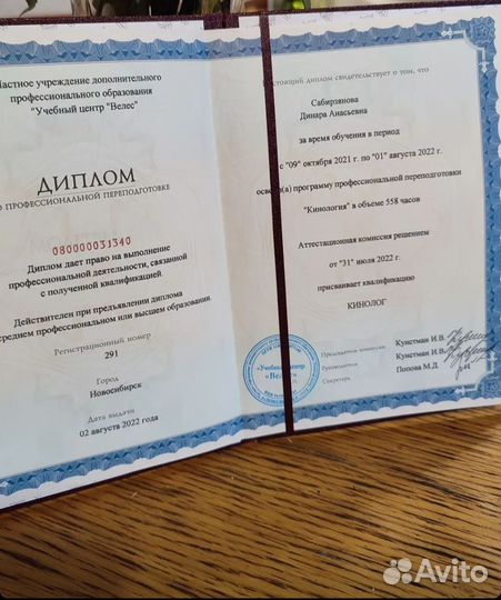 Кинолог / зоопсихолог