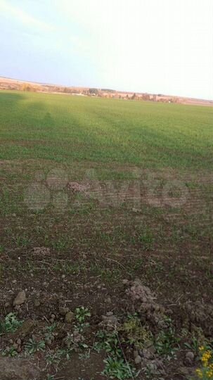 Участок 25 сот. (ИЖС)