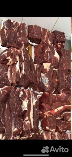 Мясо свинина оптом и в розницу