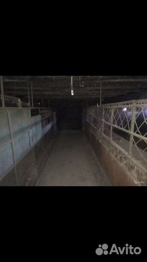 Животноводческая ферма