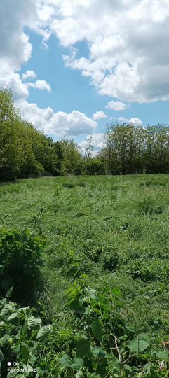 Участок 10,5 сот. (ИЖС)