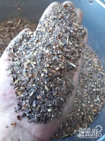 Отходы гречихи