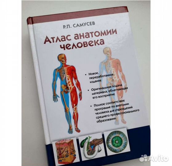 Атлас по анатомии