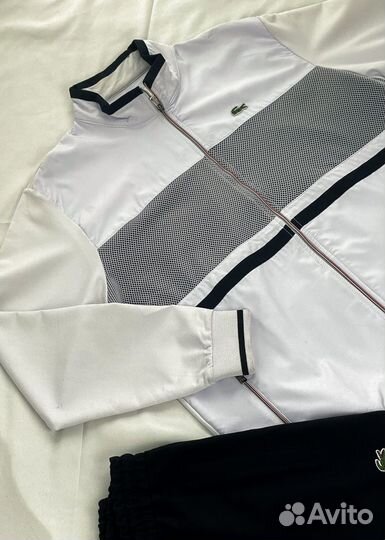 Мужской Костюм спортивный Lacoste (сетка) (2103438