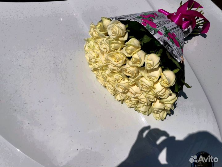 Розы, букет цветов, 101 роза. Розы опт