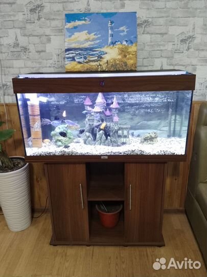 Аквариум с тумбой juwel