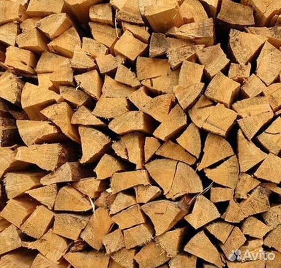 Дрова береза