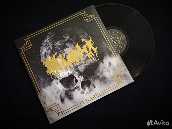 Виниловые Пластинки The ruins of beverast