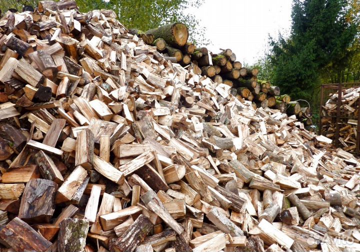 Дрова в тот же день