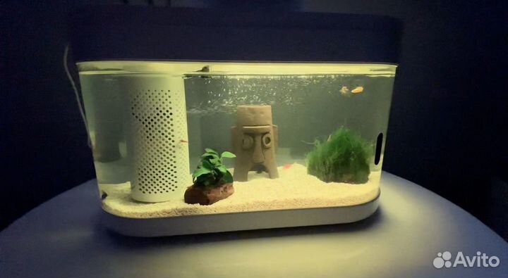 Умный аквариум Xiaomi