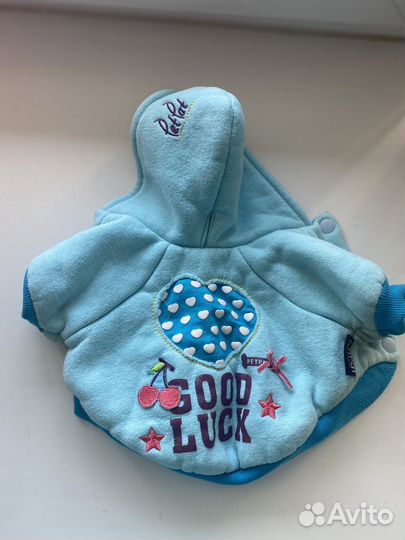 Одежда для маленьких пород собак