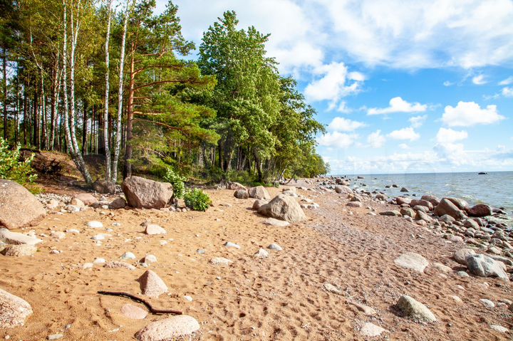 Участок 15 сот. (ИЖС)