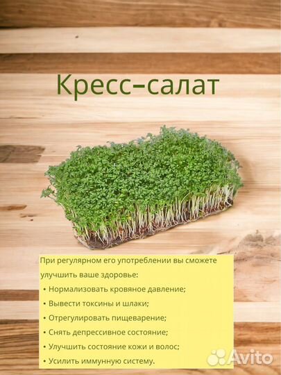 Микрозелень