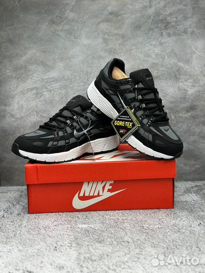 Мужские зимние кроссовки Nike air P-6000