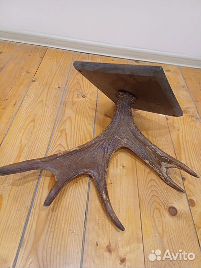 Продам рога лося